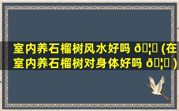 室内养石榴树风水好吗 🦍 (在室内养石榴树对身体好吗 🦟 )